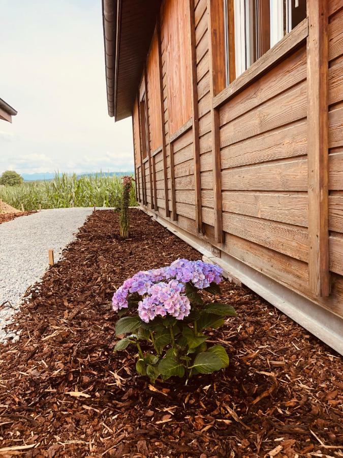 Les Moucherons Avenches Exterior foto