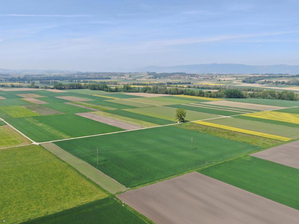 Les Moucherons Avenches Exterior foto